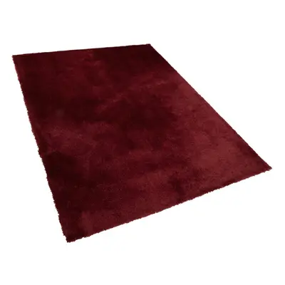 Shaggy Area Rug x cm Red EVREN