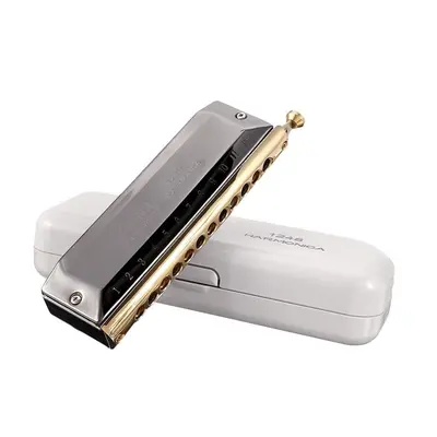 12 Holes Tones Chromatic Harmonica