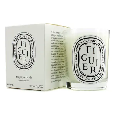 Diptyque - Figuier candle, green, Standard