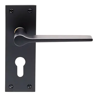 PAIR Flat Straight Handle on Slim Euro Lock Backplate x 50mm Matt Black