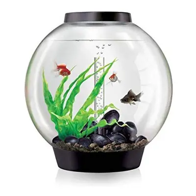 biOrb Classic 60L Aquarium in Black with MCR LED Lighting