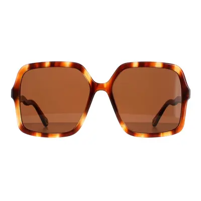 Chloe Sunglasses CH0086S Zelie Havana Brown