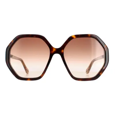 Chloe Sunglasses CH0008S Esther Dark Havana and Brown Crystal Brown Gradient