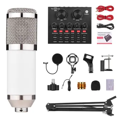 (White&Silver) Broadcasting Studio Recording Condenser Microphone Kit