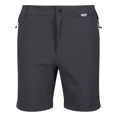 (44R, Seal Grey/Black) Regatta Mens Mountain II Shorts