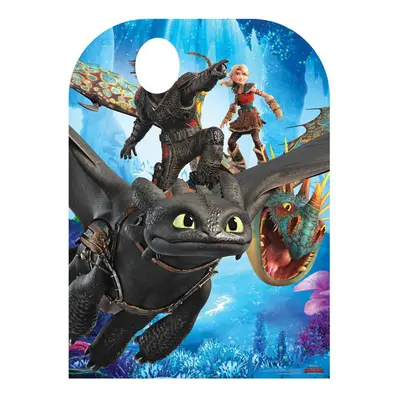 How to Train Your Dragon Child Size Stand In Official Cardboard Cutout