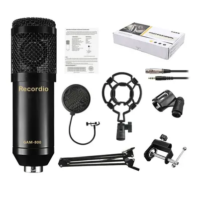 Professional Studio Broadcasting Recording set Condenser Microphone Ball-type Anti-wind Foam Pow