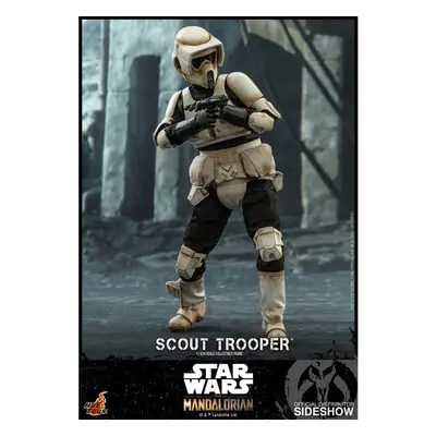 Scout Trooper Sixth Scale Action Figure by Hot Toys