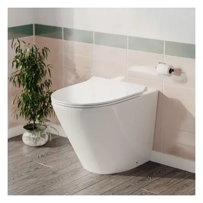 Rimless Round Back To Wall Pan with Soft Close Toilet Seat