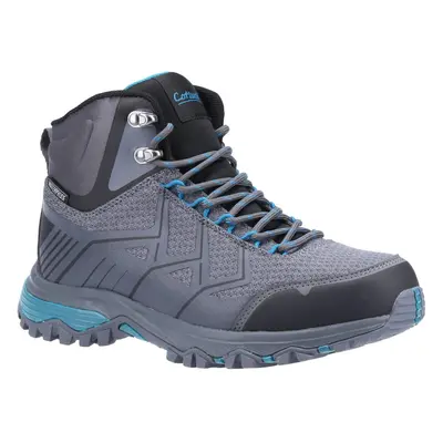 (7 UK, Grey/Blue) Cotswold Womens/Ladies Wychwood Hiking Boots