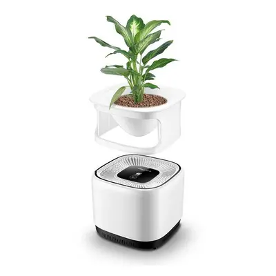 Air Purifier Mini Household Remove Formaldehyde Secondhand Smoke Anion Office Desktop Air Purifi