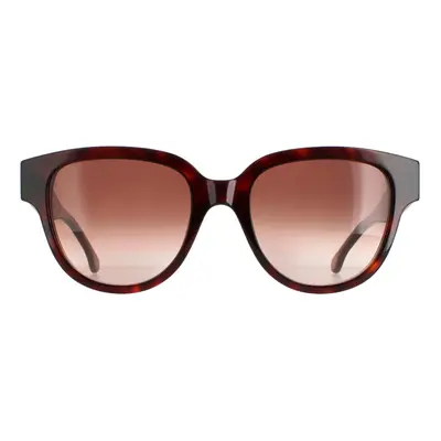 Paul Smith Sunglasses PSSN047 Darcy Dark Turtle Brown Gradient