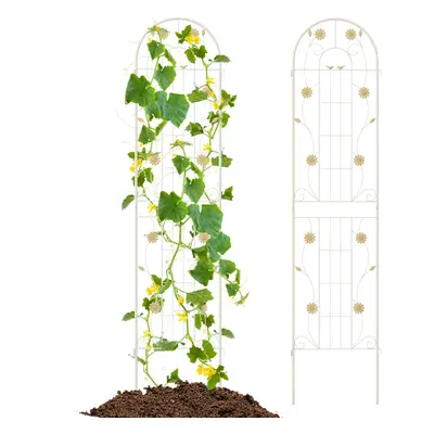 2 Pack cm x cm Metal Garden Trellis, Rustproof Plant Support