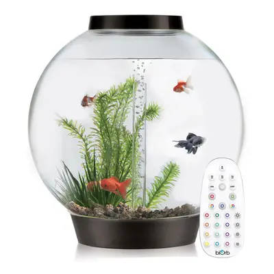 BiOrb Classic 105L Aquarium in Black with MCR LED Lighting