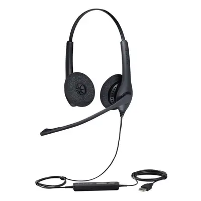 JABRA BIZ USB DUO NOICE