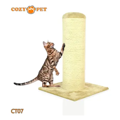 Cat Scratching Post By Cozy Pet Sisal Kitten Cat Trees - CT07-Beige