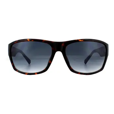 Guess Sunglasses GU00006 52C Dark Havana Smoke Mirror