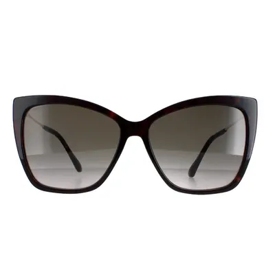 Jimmy Choo Sunglasses Seba/S 086/HA Dark Havana Brown Gradient