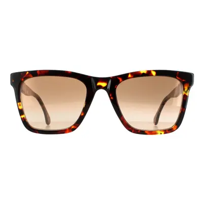 Paul Smith Sunglasses PSSN055 Durant Havana Brown Gradient