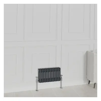 (300x605mm-2 Column, Anthracite) NRG Traditional Radiator Horizontal Vertical Cast Iron Style Do