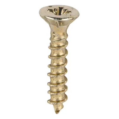 TIMCO Velocity Premium Multi-Use Countersunk Gold Woodscrews, All Sizes