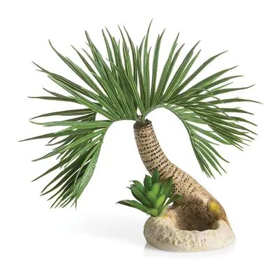 Oase biOrb Palm Tree Seychelles Aquarium Ornament - Small