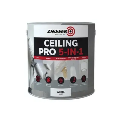 Zinsser ZINCP5125L Ceiling Pro 5-in-1 2.5 Litre