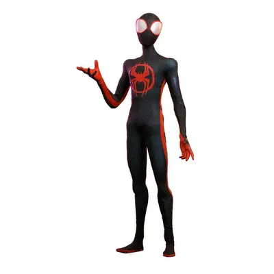 Figure Hot Toys MMS710B - Marvel Comics - Spider Man : Across The Spider Verse - Miles Morales D