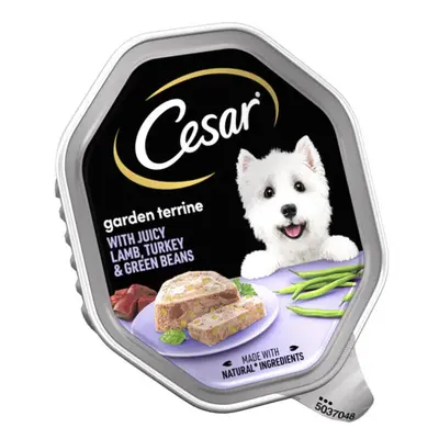 Cesar Garden Terrine Dog Food Tray Lamb, Turkey & Green Beans in Loaf 150g (Pack of 14)