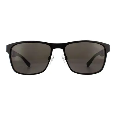 Tommy Hilfiger Sunglasses TH 1283/S FO3 NR Black Blue Brown Grey