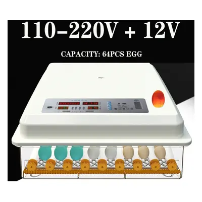 (Type B) 110-220V Eggs Incubatoxic Hatchery Machine Goose Quail Chicken