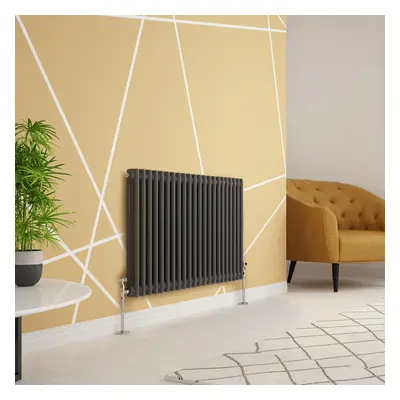 (600 x 1010mm Double, Anthracite) PlumbGalaxy Traditional-Style Cast Iron Radiator