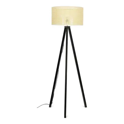 Barbro Black Floor Lamp