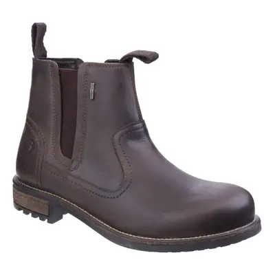 (8 UK, Brown) Cotswold Mens Worcester Walking Boots