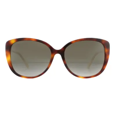 Jimmy Choo Sunglasses ALY/F/S HA Havana Brown Brown Gradient