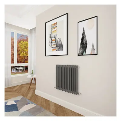 (600x605mm Column) Designer cast iron radiator anthracite all sizes