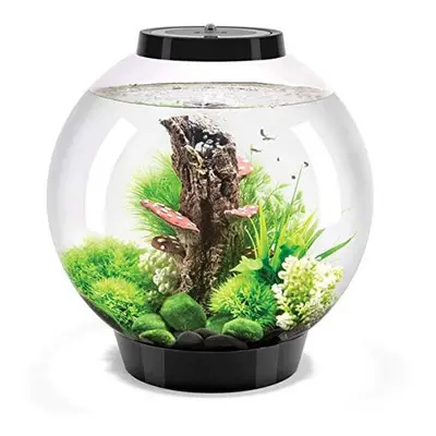 biOrb Classic 30L Aquarium in Black with MCR LED Lighting