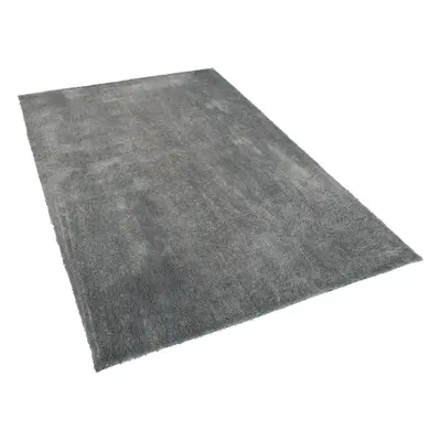 Shaggy Area Rug x cm Grey EVREN