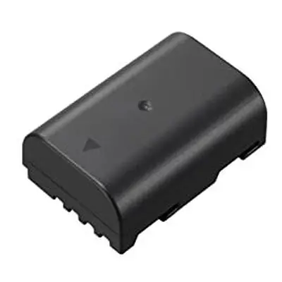 Panasonic DMW-BLF19 (Bulk) Camera Accessory