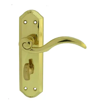 PAIR Spiral Sculpted Handle on Bathroom Backplate x 48mm Polished Brass