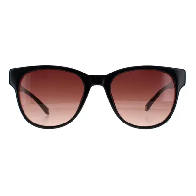 Ted Baker Sunglasses TB1627 Ware Black Brown Gradient