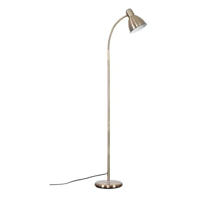 Modern Antique Brass Adjustable Reading/Craft Floor Lamp - Complete with a 6w LED GLS Bulb [6500