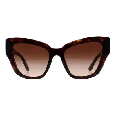 Dolce & Gabbana Sunglasses DG4404 502/13 Havana Brown Gradient