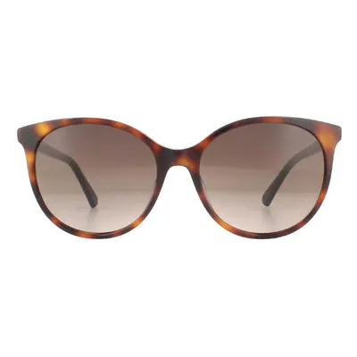 Swarovski Sunglasses SK0223 52F Dark Havana Brown Gradient