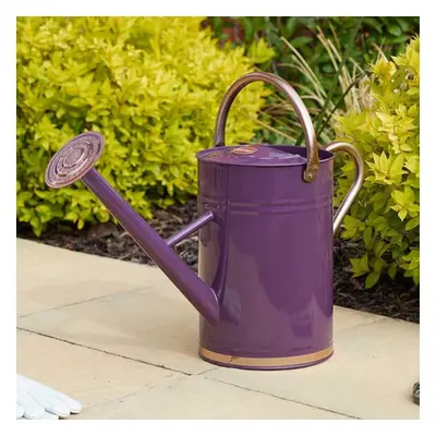 Smart Garden Violet Watering Can 9L