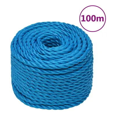 (blue, mm/ m) vidaXL Twisted Rope Garden Workshop Line Work Rope Boat Rope Polypropylene