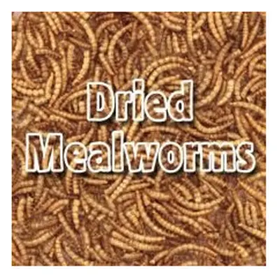 Supa Dried Mealworms (5kg)