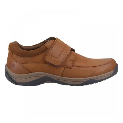 (11 (Adults')) Douglas | Tan Nubuck | Mens Shoes