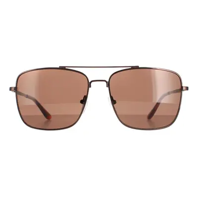 Calvin Klein Sunglasses CK19136S Brown Brown