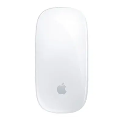 Apple Magic Mouse mouse Bluetooth MK2E3Z/A